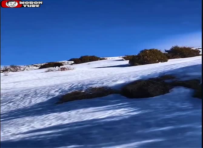 Video :Hikers are greeted by a wild boar (Corsica)